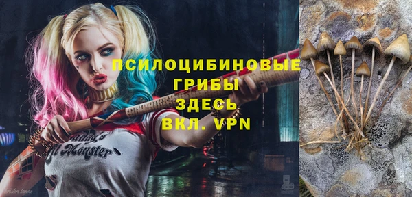 соль ск Балабаново