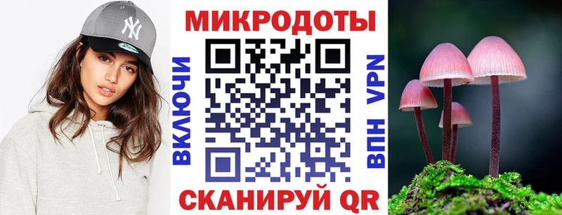 Псилоцибиновые грибы Psilocybe Гагарин